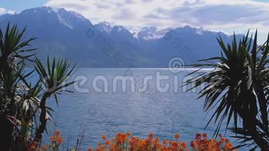 通过棕榈树和花卉景观在日内瓦湖和瑞士阿尔卑斯山在蒙特勒河岸